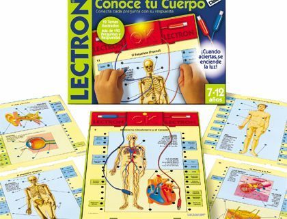 lectron eneagrama